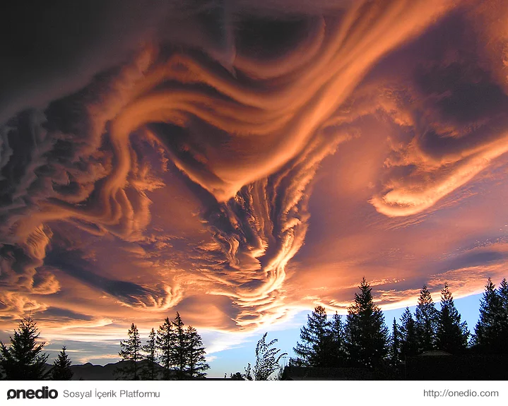 Asperatus Bulutları (En nadir doğa olayı)