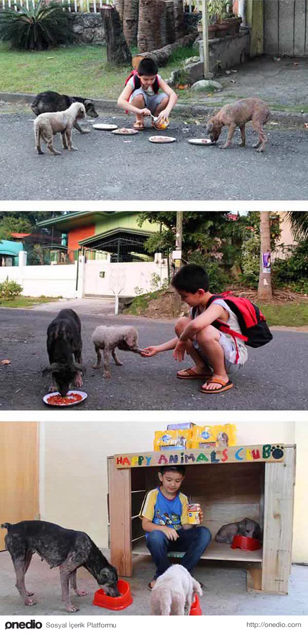 Kendi garajlarında sokak köpekleri için barınak inşa edip onlara bakan bu 9 yaşındaki pırlanta kalpli çocuk.