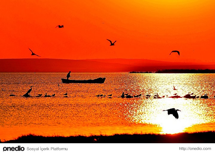 Lake Kuş (Manyas Bird's Paradise)
